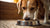 Why Isn’t My Dog Eating All of His Food? Understanding Common Causes and Solutions