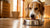 Why Isn’t My Dog Eating His Food Anymore? Understanding the Common Causes and Solutions
