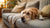Why My Dog Stopped Eating His Food: Understanding the Reasons and Solutions-140303565039