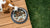 Why Put Rocks in Your Dog's Water Bowl: A Comprehensive Guide
