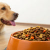 Why Should Dogs Not Eat Grain-Free Food? Understanding the Dangers of Grain-Free Diets for Our Furry Friends