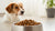 Why Will My Dog Not Eat Dog Food? Understanding the Reasons Behind Your Pup's Pickiness