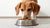 Why Won't My Dog Eat Food? Understanding and Addressing Your Pet's Appetite Issues-140296225007