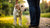 Why Won't My Dog Put Weight on His Back Leg? Understanding the Causes of Dog Limping
