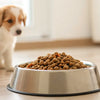 Will Adult Dog Food Give Puppy Diarrhea?