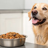 Will Canned Dog Food Give My Dog Diarrhea? Understanding the Impact of Wet Food on Digestion