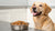 Will Canned Dog Food Give My Dog Diarrhea? Understanding the Impact of Wet Food on Digestion-141220577519