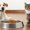 Will Cat Food Hurt a Dog If They Eat It? Understanding the Risks and Nutrition