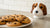 Will Chocolate Chip Cookies Hurt a Dog? Understanding the Risks-141107888367