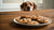Will Chocolate Chip Cookies Kill a Dog? Understanding the Risks and What to Do