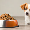 Will Eating Cat Food Hurt a Dog? Understanding the Risks and Realities