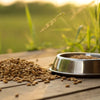 Will Grain-Free Dog Food Cause Diarrhea? Understanding the Facts for Dog Owners