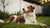 Will My Dog Put on Weight After Being Spayed? Understanding the Facts and Myths