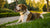 Will Neutering Change My Dog's Behavior? Understanding the Impact on Canine Conduct-141223133423