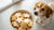 Will Sugar Cookies Hurt My Dog? Understanding the Risks and Alternatives-141107429615