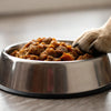 Will Wet Dog Food Give My Dog Diarrhea? Understanding the Risks and Benefits