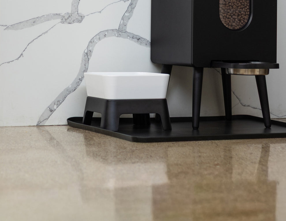 How Long Are Dog Treats Good After Expiration Date? A Comprehensive