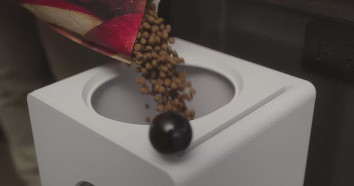 Houndsy Kibble Dispenser
